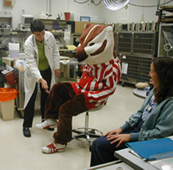 Bucky Badger at the vet lab.