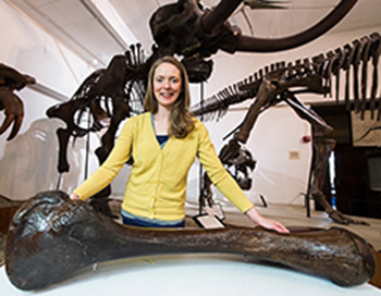 On May 14, 2015, Carrie Eaton, curator of collections at the University of Wisconsin-Madison Geology Museum, stands with the femur of what was formerly known as the Boaz Mastodon. Recent CT scans and radiocarbon dating of the bones -- along with extensive review by Eaton of historical university documents, newspaper accounts and photographic records -- indicates that a skeleton on display at the museum is likely a composite of parts from two different specimens: a mastodon from Boaz, Wis., and one from the former Anderson Mills, Wis., in Grant County. Analysis shows most of the fossil bone of the skeleton is from Anderson Mills. (Photo by Jeff Miller/UW-Madison)