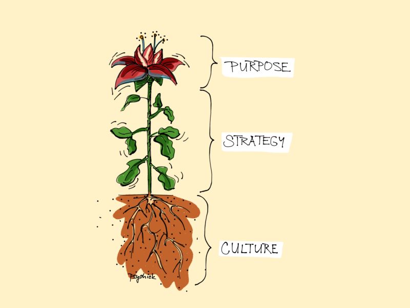Drawing of a flower, showing bloom, stem, and roots. Bloom is labeled Purpose, Stem is labeled Strategy, and roots labeled Culture.