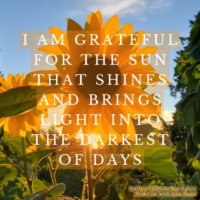 I am grateful for the sun that shines and brings light into the darkest of days. 