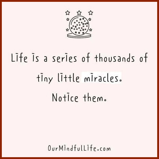 Life is a series of thousands of tiny little miracles. Notice them.