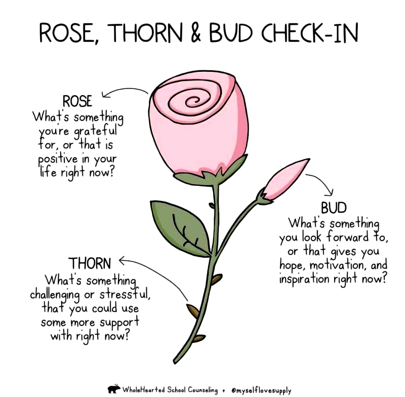 Rose, Thorn and Bud Check-in technique