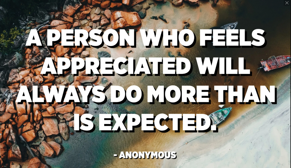 A person who feels appreciated will always do more than is expected. 