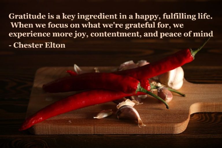 Gratitude is a key ingredient in a happy, fulfilling life. When we focus on what we're grateful for, we experience more joy, contentment, and peace of mind. -Chester Elton