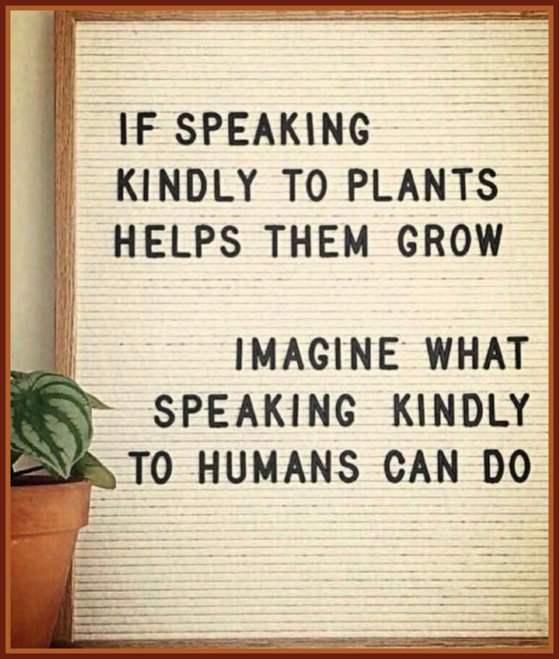 If speaking kindly to plants helps them grow, imagine what speaking kindly to humans can do.