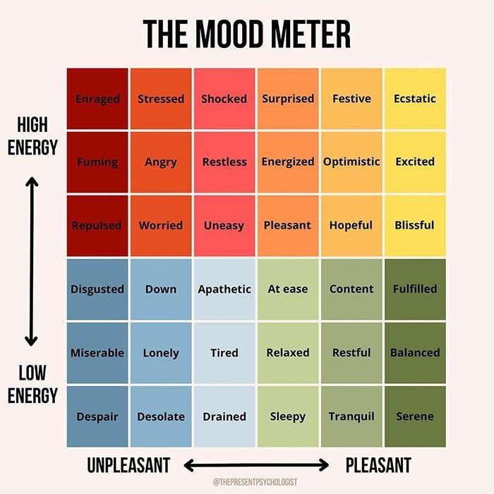The Mood Meter 
A graph showing a sliding scale on the left from low energy to high energy, and on the bottom from unpleasant to pleasant. 

Boxes within the graph range from despair and miserable in low energy and unpleasant to ecstatic and festive in high energy and pleasant. 

The point of the chart is that you don’t need high energy to experience pleasantness - relaxed, fulfilled and serene fall in the area of low energy and pleasant. 