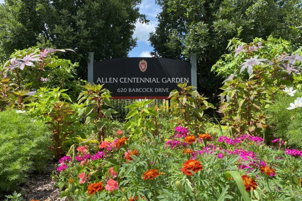 The sign in front of Allen Centennial Gardens on UW-Madison Campus, surrounded by plants and flowers.